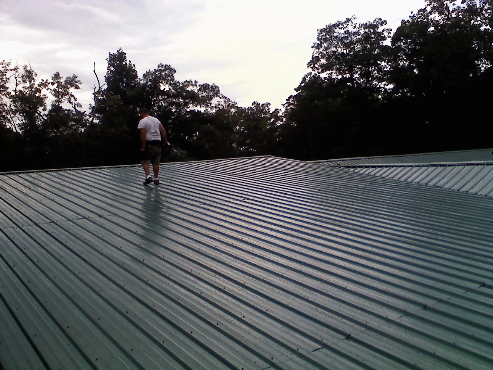 Roofer walking a wide expanse of new green metal roofing in Cavour